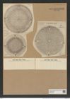 Aulacodiscus margaritaceus Ralfs (de-Toni-Nr.: Genus 182, Species 4515) Zeichnungen Sammlung Grunow Nr. 8086 (NHMW-BOT-W0377418)